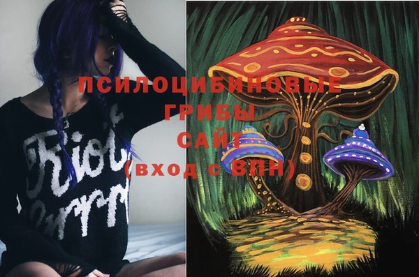 СК Аркадак