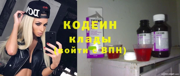 прущий лед Арсеньев