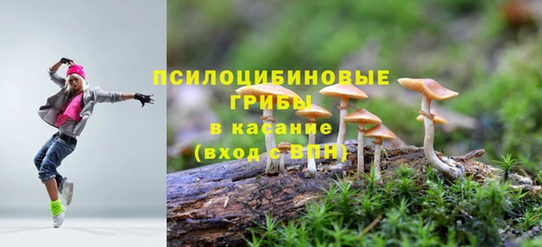 эйфоретик Армянск