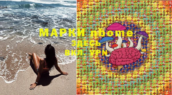 СК Аркадак