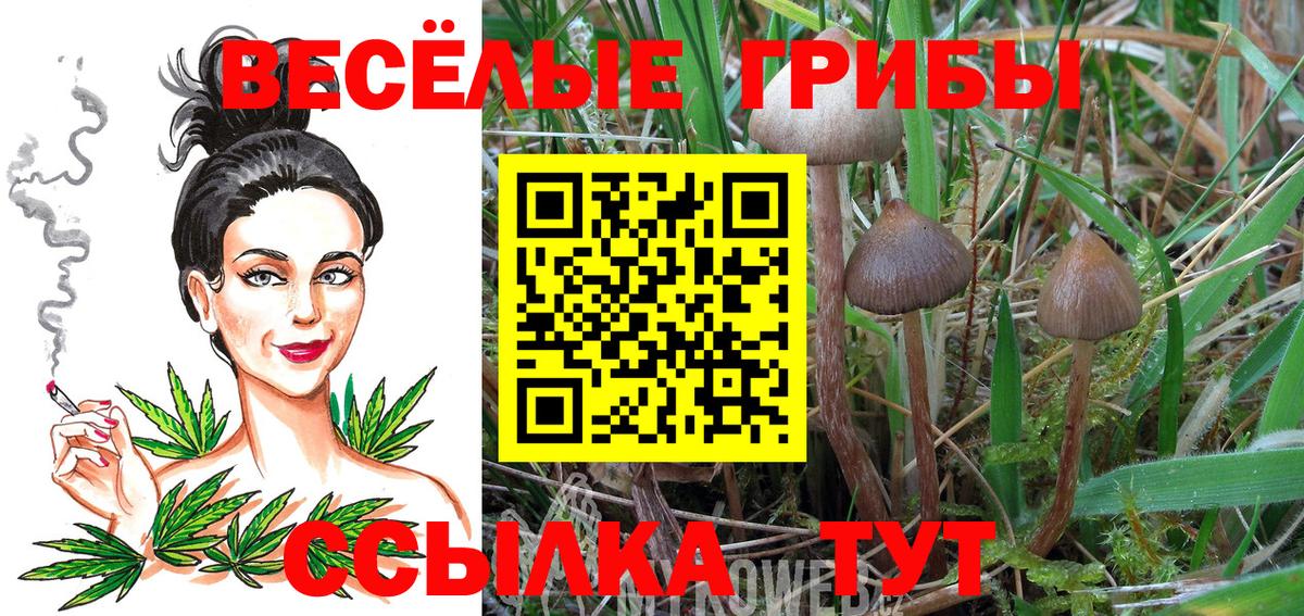 Асбест  где купить наркотик  Вход с VPN  Псилоцибиновые грибы Cubensis 